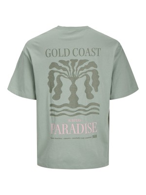 JACK&JONES ORIGINALS JJEAMES TEE SS CREW NECK Iceberg Green | Freewear JJEAMES TEE SS CREW NECK - www.freewear.nl - Freewear