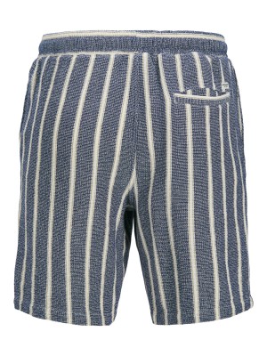 JACK&JONES ORIGINALS JPSTJAIDEN COBA STRIPE JOG SHORT SR: Ocean Cavern | Freewear JPSTJAIDEN COBA STRIPE JOG SHORT SR: - www.freewear.nl - Freewear