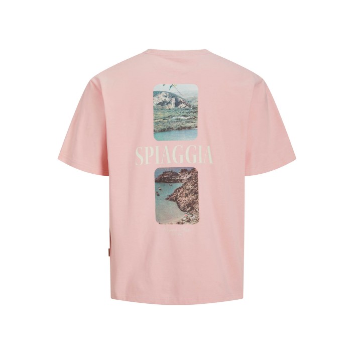 JACK&JONES ORIGINALS JORHYDRA PHOTO TEE SS CREW NECK Tickled Pink | Freewear JORHYDRA PHOTO TEE SS CREW NECK - www.freewear.nl - Freewear