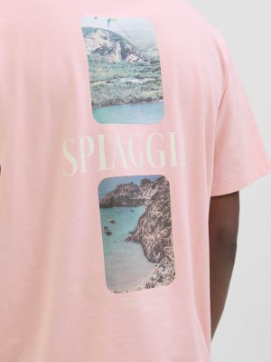 JACK&JONES ORIGINALS JORHYDRA PHOTO TEE SS CREW NECK Tickled Pink | Freewear JORHYDRA PHOTO TEE SS CREW NECK - www.freewear.nl - Freewear