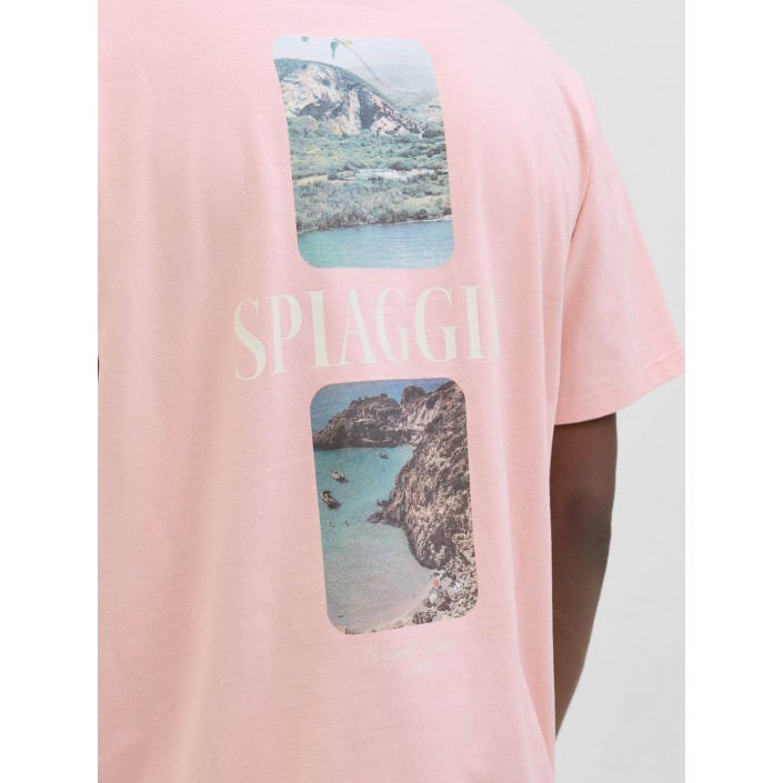JACK&JONES ORIGINALS JORHYDRA PHOTO TEE SS CREW NECK Tickled Pink | Freewear JORHYDRA PHOTO TEE SS CREW NECK - www.freewear.nl - Freewear