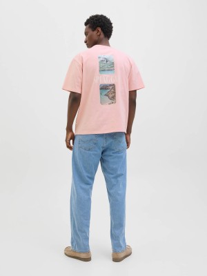 JACK&JONES ORIGINALS JORHYDRA PHOTO TEE SS CREW NECK Tickled Pink | Freewear JORHYDRA PHOTO TEE SS CREW NECK - www.freewear.nl - Freewear