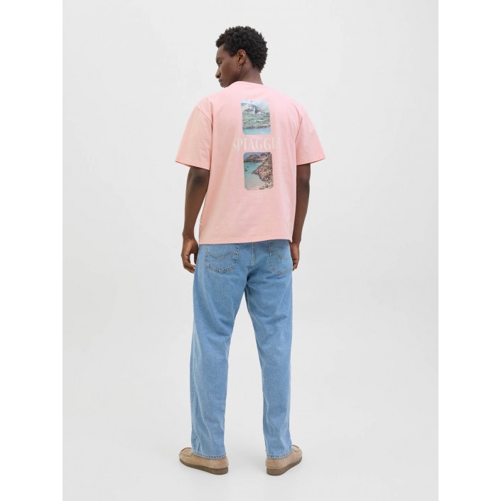 JACK&JONES ORIGINALS JORHYDRA PHOTO TEE SS CREW NECK Tickled Pink | Freewear JORHYDRA PHOTO TEE SS CREW NECK - www.freewear.nl - Freewear