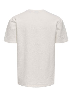 ONLY&SONS ONSKIAN LIFE REG SEERSUCKER SS TEE : Cloud Dancer | Freewear ONSKIAN LIFE REG SEERSUCKER SS TEE : - www.freewear.nl - Freewear
