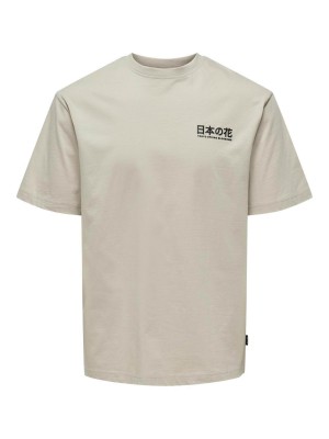 ONLY&SONS ONSKACE RLX JAP SS TEE Silver Lining | Freewear
