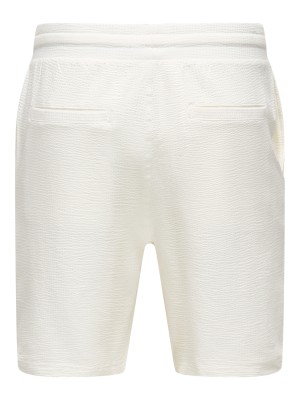 ONLY&SONS ONSKIAN LIFE REG SEERSUCKER SHORTS : Cloud Dancer | Freewear ONSKIAN LIFE REG SEERSUCKER SHORTS : - www.freewear.nl - Freewear