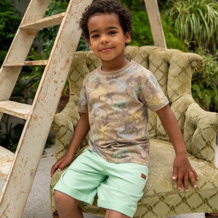 Koko Noko Ki T-shirt ss salamander taupe | Freewear Ki T-shirt ss salamander - www.freewear.nl - Freewear