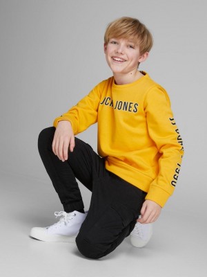 jack en jones boys JPSTPAUL JJFLAKE AKM 542 NOOS JNR Black | Freewear JPSTPAUL JJFLAKE AKM 542 NOOS JNR - www.freewear.nl - Freewear