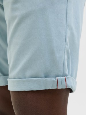 JACK&JONES INTELLIGENCE JJIBOWIE JJSHORTS SOLID SA STS Arona | Freewear JJIBOWIE JJSHORTS SOLID SA STS - www.freewear.nl - Freewear