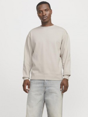 Jack & Jones:JACK&JONES ESSENTIALS JJESTAR BASIC SWEAT CREW NECK NOOS Moonbeam | Freewear JJESTAR BASIC SWEAT CREW NECK NOOS - www.freewear.nl - Freewear
