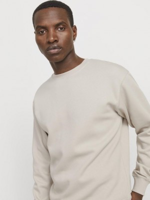 Jack & Jones:JACK&JONES ESSENTIALS JJESTAR BASIC SWEAT CREW NECK NOOS Moonbeam | Freewear JJESTAR BASIC SWEAT CREW NECK NOOS - www.freewear.nl - Freewear