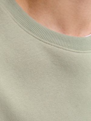 Jack & Jones:JACK&JONES ESSENTIALS JJESTAR BASIC SWEAT CREW NECK NOOS Seagrass | Freewear JJESTAR BASIC SWEAT CREW NECK NOOS - www.freewear.nl - Freewear
