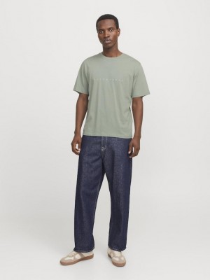 Jack & Jones:JACK&JONES ESSENTIALS JJESTAR JJ TEE SS NOOS Iceberg Green | Freewear JJESTAR JJ TEE SS NOOS - www.freewear.nl - Freewear