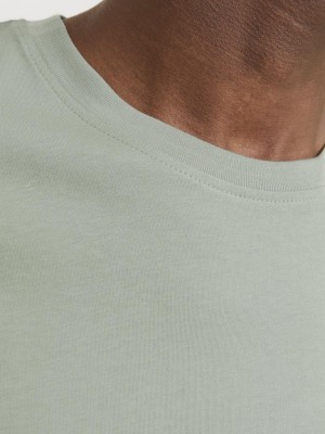 Jack & Jones:JACK&JONES ESSENTIALS JJESTAR JJ TEE SS NOOS Iceberg Green | Freewear JJESTAR JJ TEE SS NOOS - www.freewear.nl - Freewear