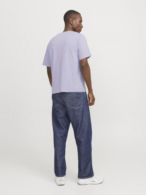 Jack & Jones:JACK&JONES ESSENTIALS JJESTAR JJ TEE SS NOOS Languid Lavender | Freewear JJESTAR JJ TEE SS NOOS - www.freewear.nl - Freewear