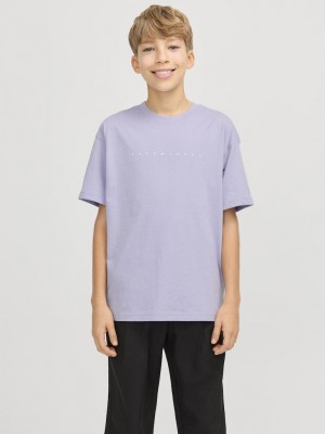jack en jones boys JJESTAR JJ TEE SS NOOS JNR Languid Lavender | Freewear JJESTAR JJ TEE SS NOOS JNR - www.freewear.nl - Freewear