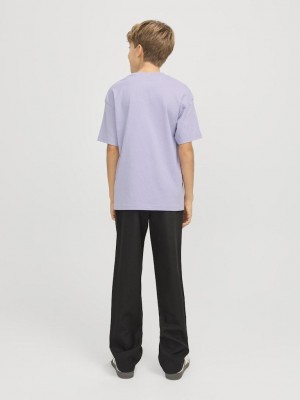 jack en jones boys JJESTAR JJ TEE SS NOOS JNR Languid Lavender | Freewear JJESTAR JJ TEE SS NOOS JNR - www.freewear.nl - Freewear