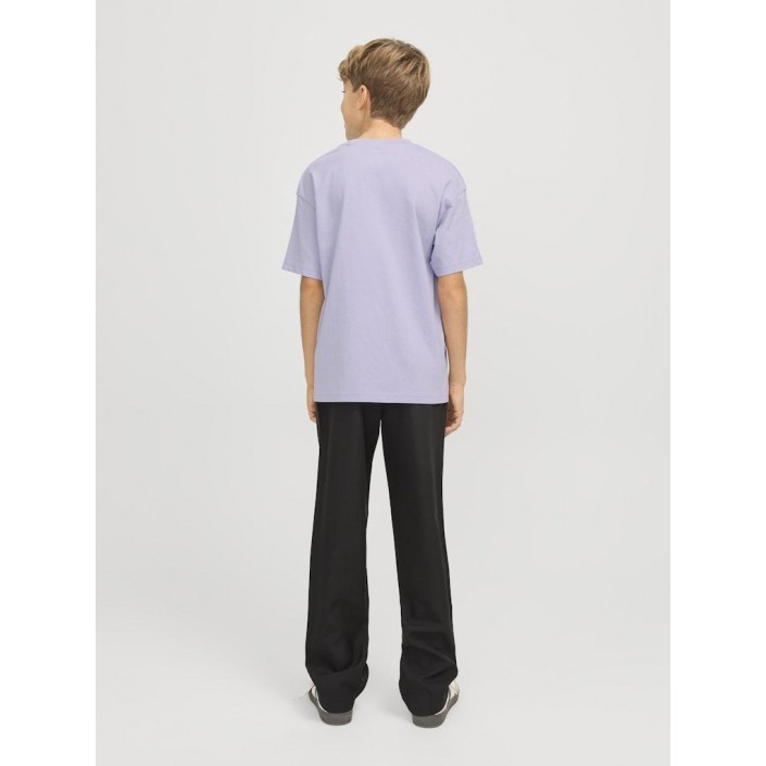 jack en jones boys JJESTAR JJ TEE SS NOOS JNR Languid Lavender | Freewear JJESTAR JJ TEE SS NOOS JNR - www.freewear.nl - Freewear