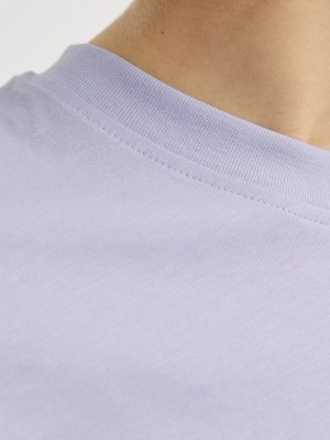 jack en jones boys JJESTAR JJ TEE SS NOOS JNR Languid Lavender | Freewear JJESTAR JJ TEE SS NOOS JNR - www.freewear.nl - Freewear