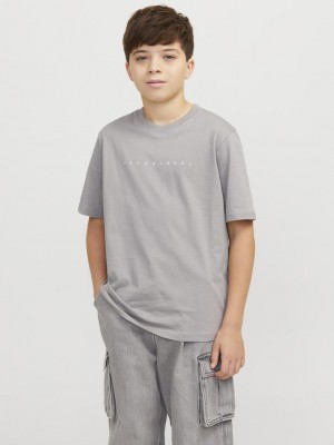 jack en jones boys JJESTAR JJ TEE SS NOOS JNR Ultimate Grey/White | Freewear JJESTAR JJ TEE SS NOOS JNR - www.freewear.nl - Freewear