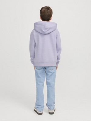 jack en jones boys JJESTAR JJ SWEAT HOOD NOOS JNR Languid Lavender | Freewear JJESTAR JJ SWEAT HOOD NOOS JNR - www.freewear.nl - Freewear