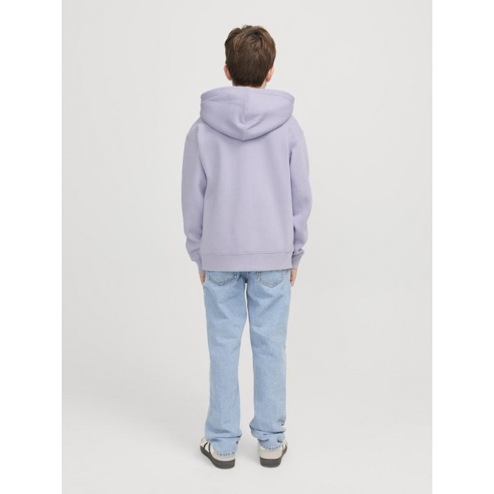 jack en jones boys JJESTAR JJ SWEAT HOOD NOOS JNR Languid Lavender | Freewear JJESTAR JJ SWEAT HOOD NOOS JNR - www.freewear.nl - Freewear
