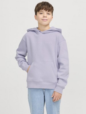 jack en jones boys JJESTAR JJ SWEAT HOOD NOOS JNR Languid Lavender | Freewear JJESTAR JJ SWEAT HOOD NOOS JNR - www.freewear.nl - Freewear