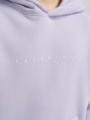 jack en jones boys JJESTAR JJ SWEAT HOOD NOOS JNR Languid Lavender | Freewear JJESTAR JJ SWEAT HOOD NOOS JNR - www.freewear.nl - Freewear