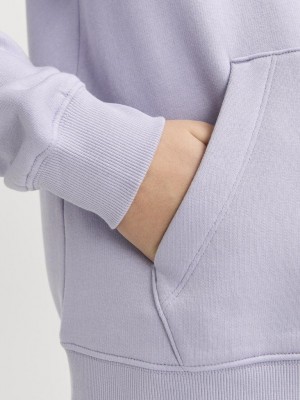 jack en jones boys JJESTAR JJ SWEAT HOOD NOOS JNR Languid Lavender | Freewear JJESTAR JJ SWEAT HOOD NOOS JNR - www.freewear.nl - Freewear