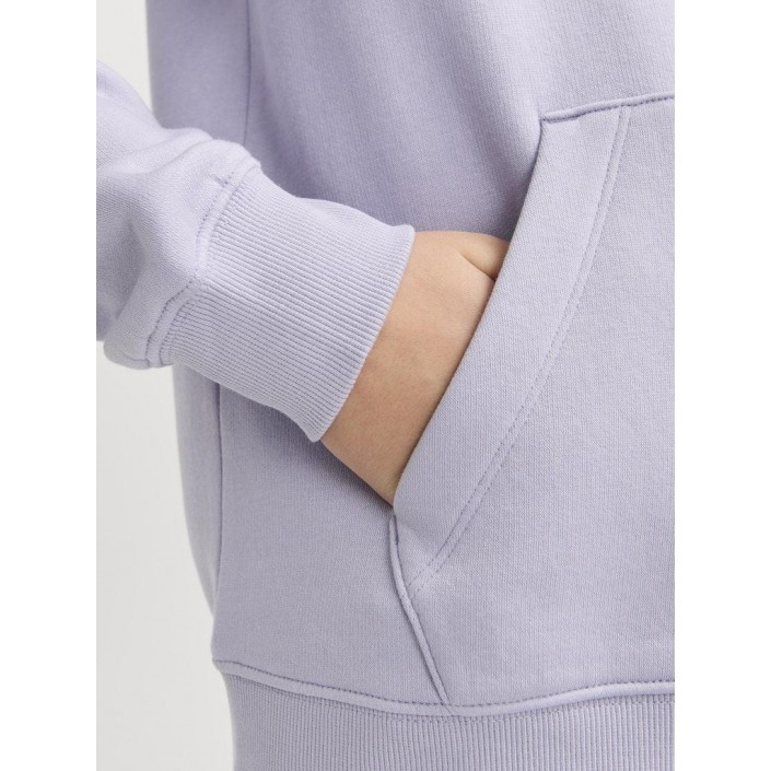 jack en jones boys JJESTAR JJ SWEAT HOOD NOOS JNR Languid Lavender | Freewear JJESTAR JJ SWEAT HOOD NOOS JNR - www.freewear.nl - Freewear