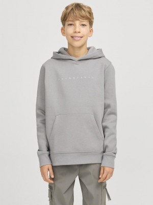 jack en jones boys JJESTAR JJ SWEAT HOOD NOOS JNR Ultimate Grey/White | Freewear JJESTAR JJ SWEAT HOOD NOOS JNR - www.freewear.nl - Freewear