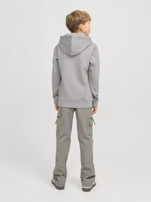 jack en jones boys JJESTAR JJ SWEAT HOOD NOOS JNR Ultimate Grey/White | Freewear JJESTAR JJ SWEAT HOOD NOOS JNR - www.freewear.nl - Freewear