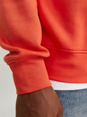 JACK&JONES ORIGINALS JORVESTERBRO SWEAT CREW NECK NOOS Summer Fig | Freewear JORVESTERBRO SWEAT CREW NECK NOOS - www.freewear.nl - Freewear