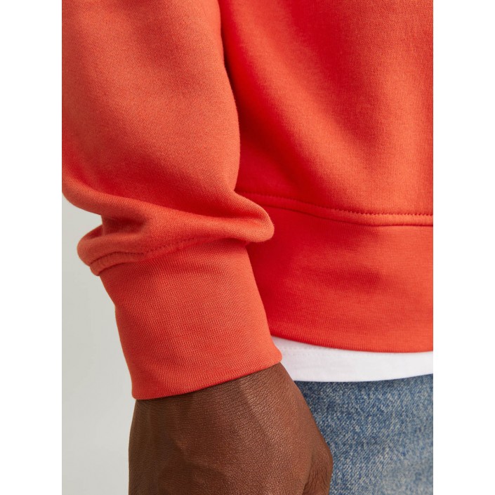 JACK&JONES ORIGINALS JORVESTERBRO SWEAT CREW NECK NOOS Summer Fig | Freewear JORVESTERBRO SWEAT CREW NECK NOOS - www.freewear.nl - Freewear