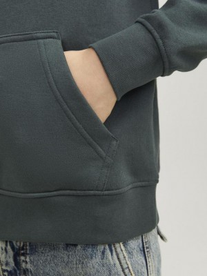 jack en jones boys JORVESTERBRO SWEAT HOOD NOOS JNR Forest River/LOOSE | Freewear JORVESTERBRO SWEAT HOOD NOOS JNR - www.freewear.nl - Freewear