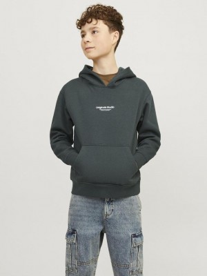 jack en jones boys JORVESTERBRO SWEAT HOOD NOOS JNR Forest River/LOOSE | Freewear JORVESTERBRO SWEAT HOOD NOOS JNR - www.freewear.nl - Freewear