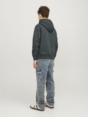 jack en jones boys JORVESTERBRO SWEAT HOOD NOOS JNR Forest River/LOOSE | Freewear JORVESTERBRO SWEAT HOOD NOOS JNR - www.freewear.nl - Freewear