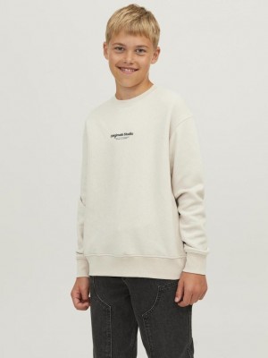 jack en jones boys JORVESTERBRO SWEAT CREW NECK NOOS J: Moonbeam/LOOSE | Freewear JORVESTERBRO SWEAT CREW NECK NOOS J: - www.freewear.nl - Freewear