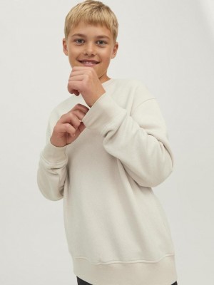 jack en jones boys JORVESTERBRO SWEAT CREW NECK NOOS J: Moonbeam/LOOSE | Freewear JORVESTERBRO SWEAT CREW NECK NOOS J: - www.freewear.nl - Freewear