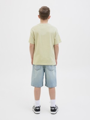 jack en jones boys JORVESTERBRO TEE SS CREW NECK NOOS : Celadon Tint | Freewear JORVESTERBRO TEE SS CREW NECK NOOS : - www.freewear.nl - Freewear
