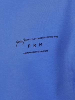 JACK%JONES PREMIUM JPRBLASANCHEZ BRANDING TEE CREW NEC: Palace Blue | Freewear JPRBLASANCHEZ BRANDING TEE CREW NEC: - www.freewear.nl - Freewear