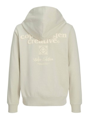 jack en jones boys JORPAROS TYPE SWEAT HOOD BACK JNR Celadon Tint | Freewear JORPAROS TYPE SWEAT HOOD BACK JNR - www.freewear.nl - Freewear