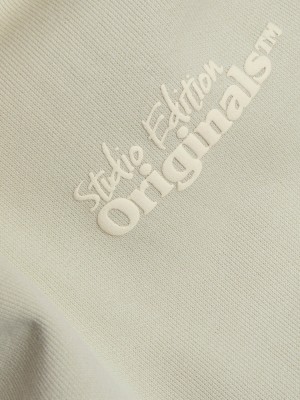 jack en jones boys JORPAROS TYPE SWEAT HOOD BACK JNR Celadon Tint | Freewear JORPAROS TYPE SWEAT HOOD BACK JNR - www.freewear.nl - Freewear