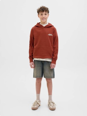 jack en jones boys JORPAROS TYPE SWEAT HOOD BACK JNR Arabian Spice | Freewear JORPAROS TYPE SWEAT HOOD BACK JNR - www.freewear.nl - Freewear