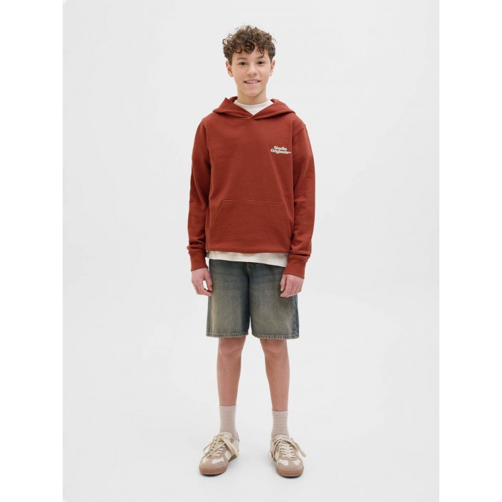 jack en jones boys JORPAROS TYPE SWEAT HOOD BACK JNR Arabian Spice | Freewear JORPAROS TYPE SWEAT HOOD BACK JNR - www.freewear.nl - Freewear