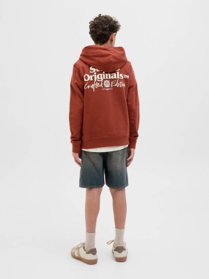 jack en jones boys JORPAROS TYPE SWEAT HOOD BACK JNR Arabian Spice | Freewear JORPAROS TYPE SWEAT HOOD BACK JNR - www.freewear.nl - Freewear
