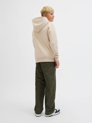 jack en jones boys JJESOHO SWEAT HOOD NOOS JNR Moonbeam | Freewear JJESOHO SWEAT HOOD NOOS JNR - www.freewear.nl - Freewear