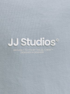 jack en jones boys JJESOHO TEE SS CREW NECK NOOS JNR Celestial Blue | Freewear JJESOHO TEE SS CREW NECK NOOS JNR - www.freewear.nl - Freewear