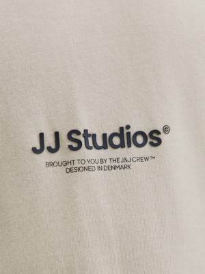 jack en jones boys JJESOHO TEE SS CREW NECK NOOS JNR Moonbeam | Freewear JJESOHO TEE SS CREW NECK NOOS JNR - www.freewear.nl - Freewear