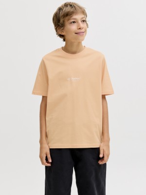 jack en jones boys JJESOHO TEE SS CREW NECK NOOS JNR Beach Sand | Freewear JJESOHO TEE SS CREW NECK NOOS JNR - www.freewear.nl - Freewear